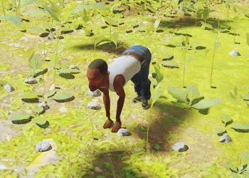 This Stray CJ mod turns the GTA: San Andreas protagonist into a cat: How to download?