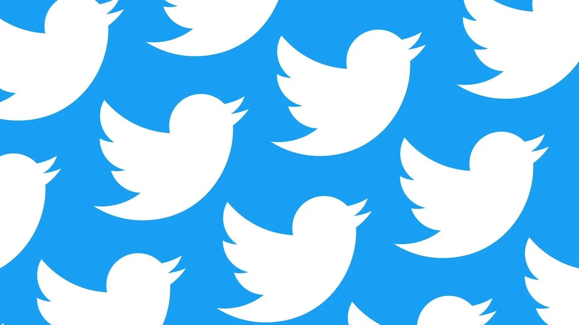In this article, we are going to go over the Twitter CoTweets feature that is in testing, which will allow users to tweet together.