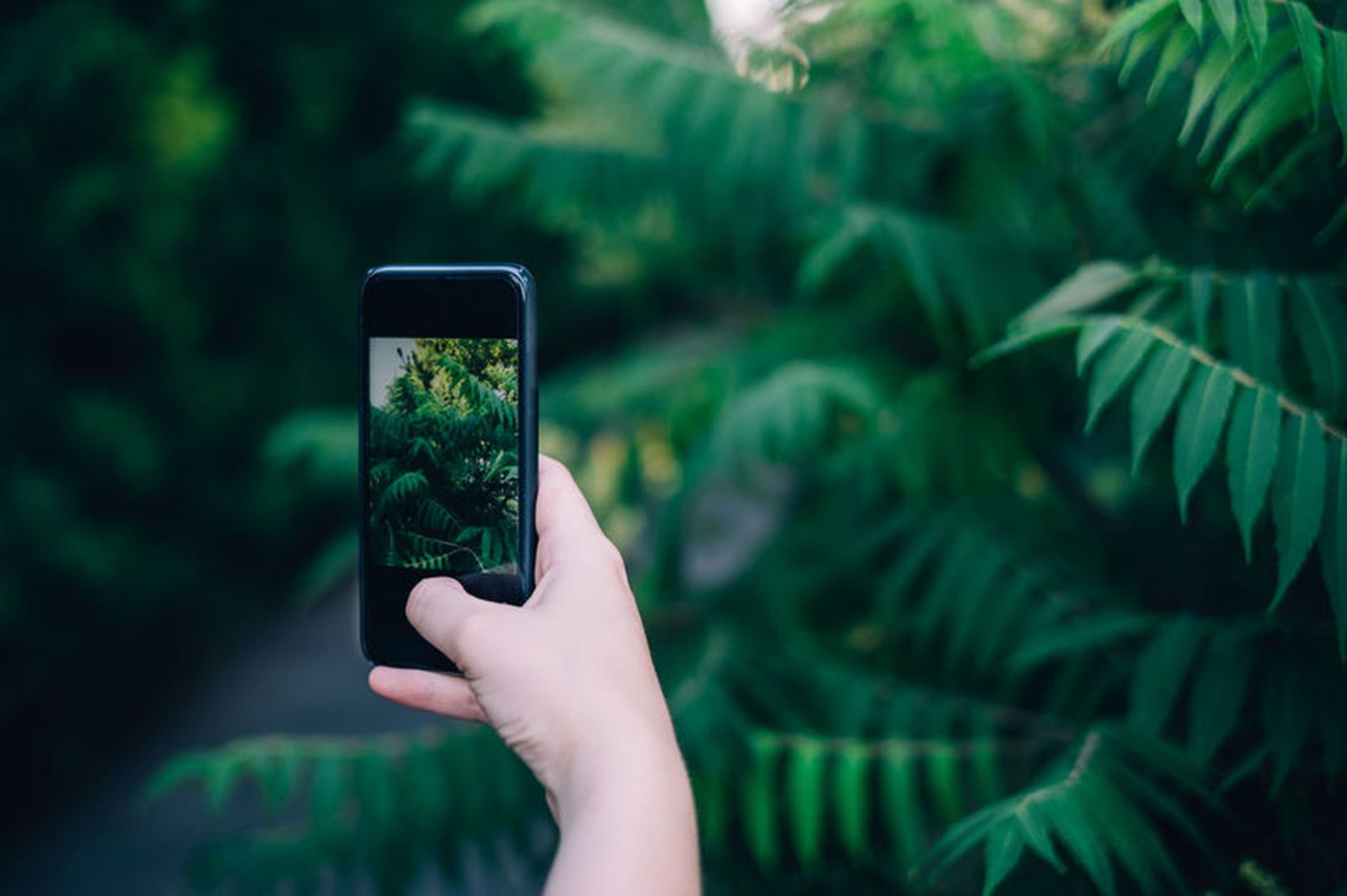 In this article, we are covering 13 photography tips for smartphones in honor of World Photography Day, so you can take the best photos possible.