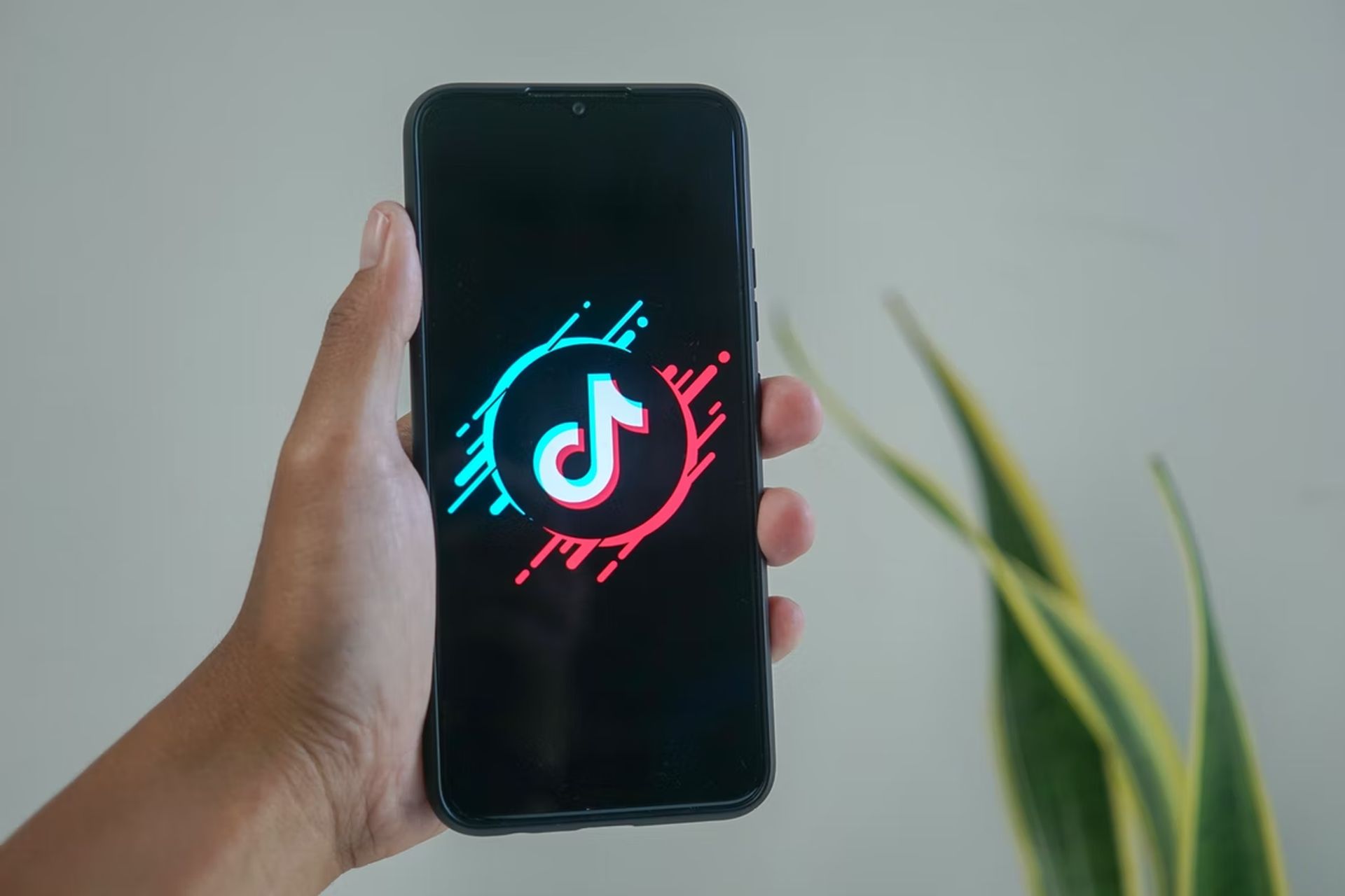 Today we are here to review What TikTok Music is. A lot of people think that it is threatening Spotify and Apple's throne, and for a good reason.