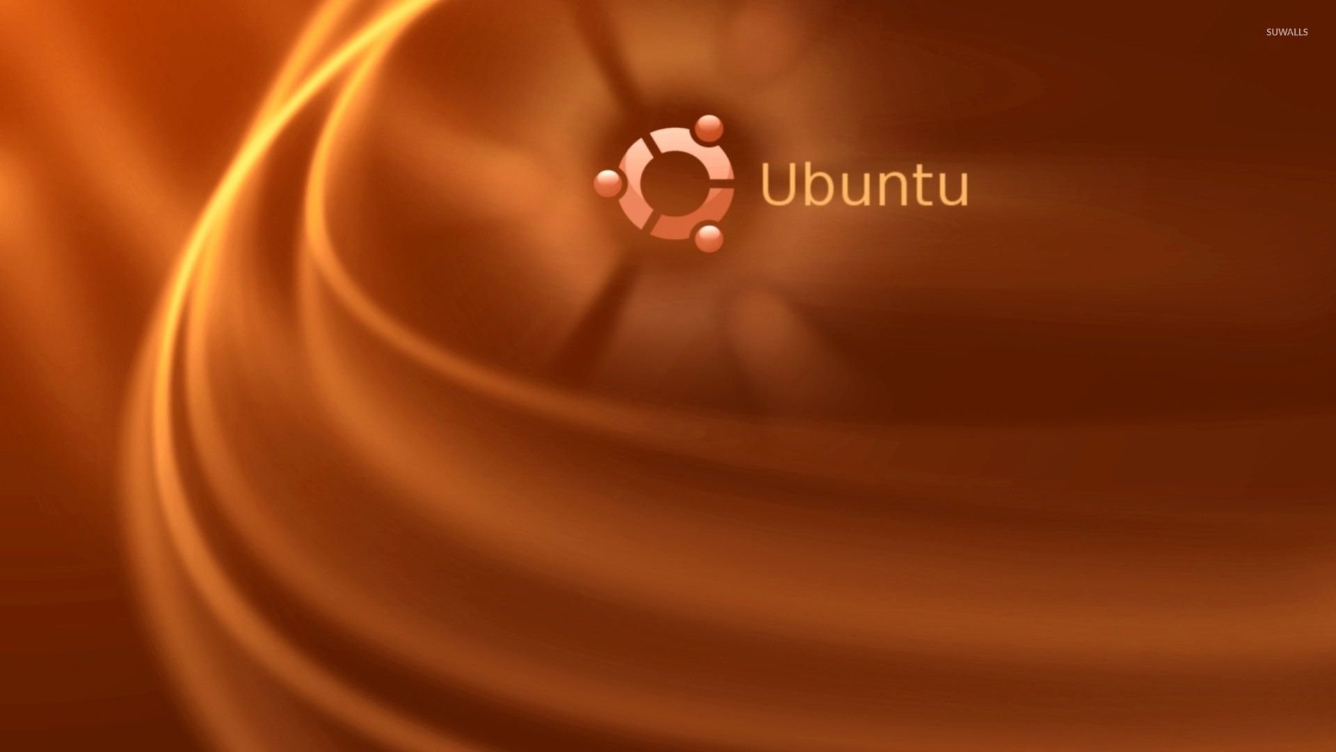 How to install Postman in Ubuntu?