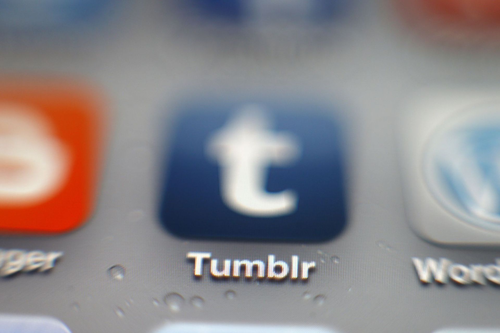 Tumblr not working: How to fix it (iOS, Android and PC)?