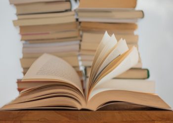 What is NovelAI: Features, price and best alternatives