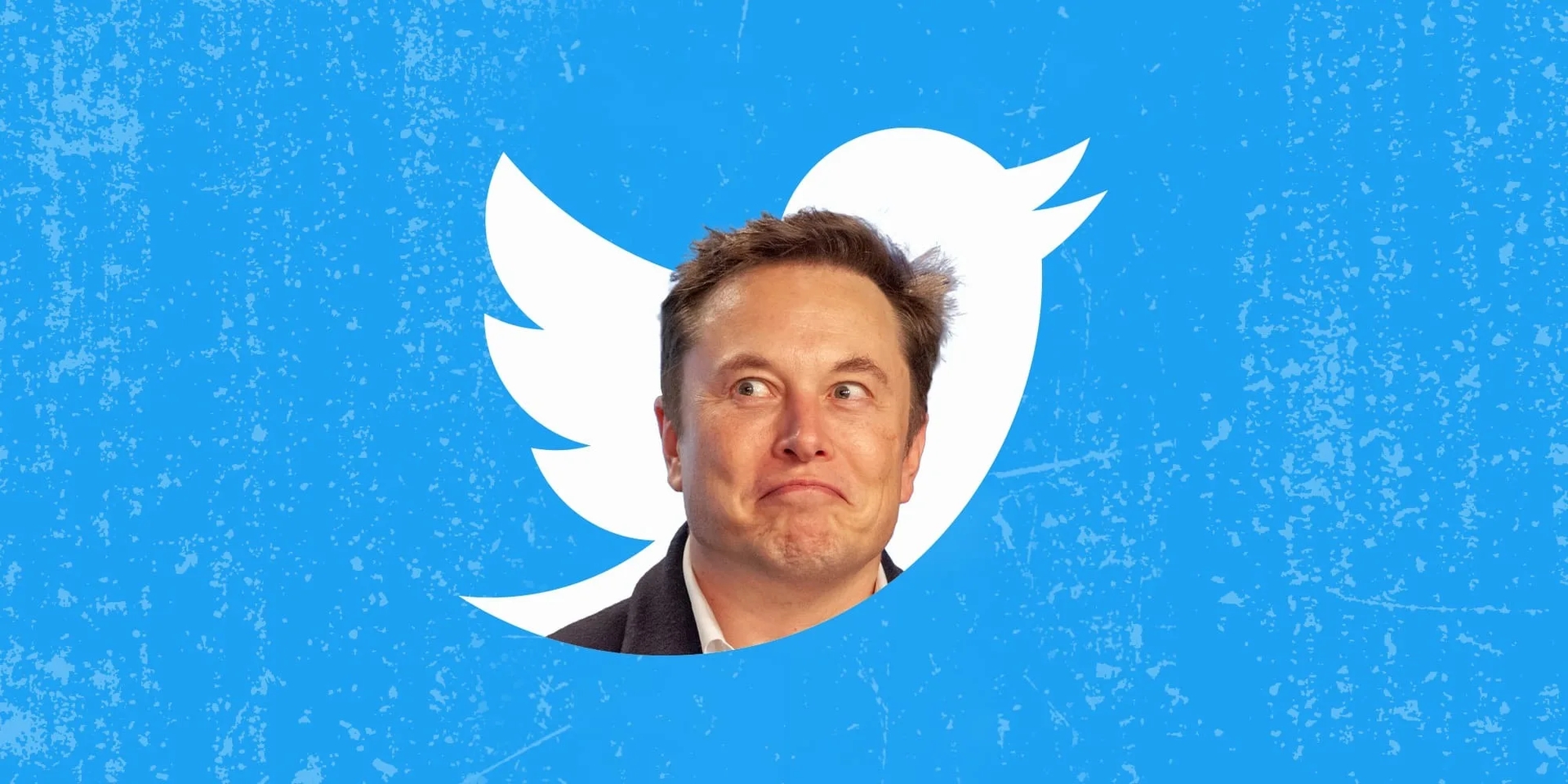 Elon Musk ontsloeg meer Twitter-medewerkers in de nacht voor Thanksgiving