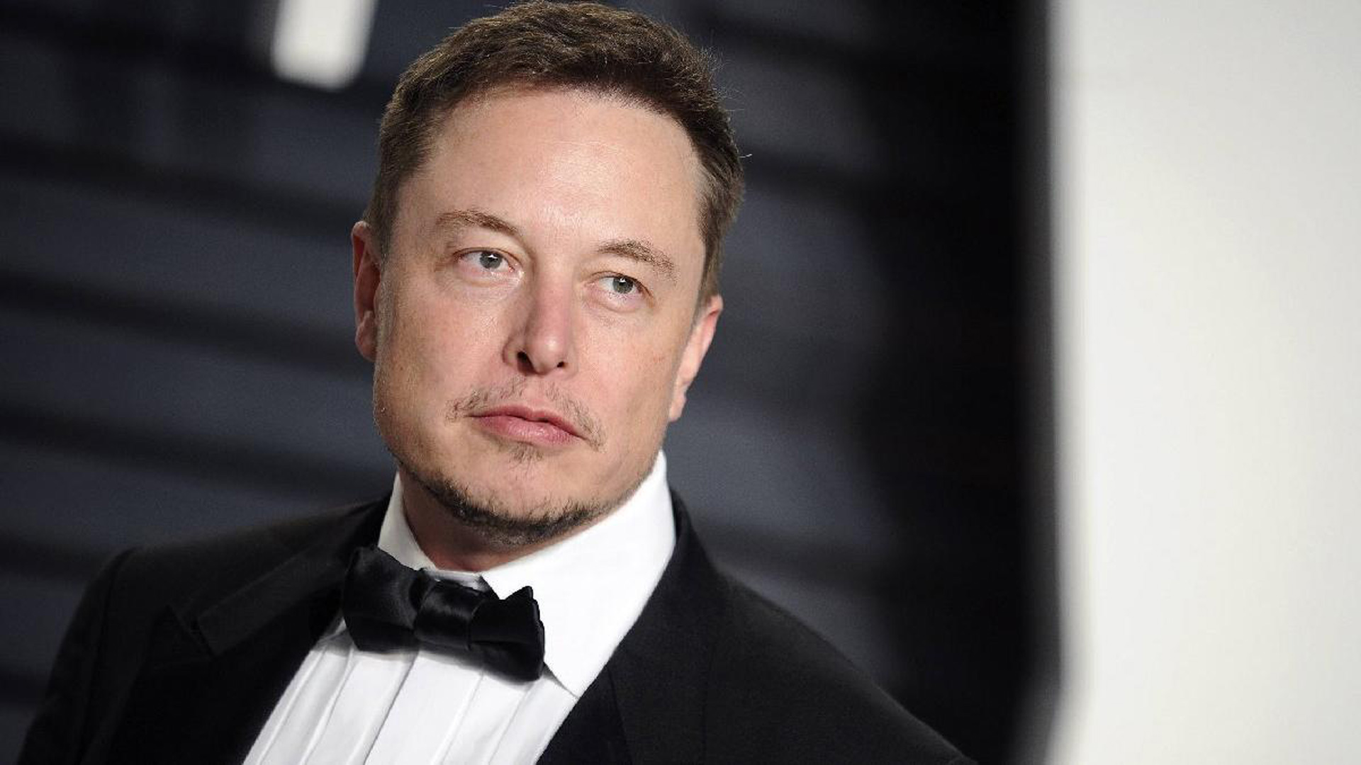 Elon Musk loses 100 billion dollar!