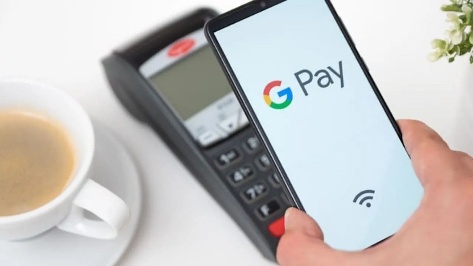 Google Pay Cricket Shake not working: How to fix it?