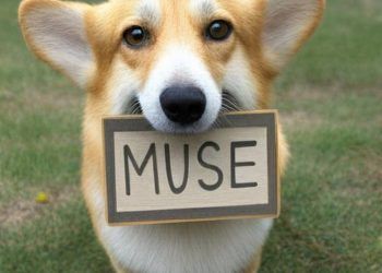 Is Google Muse AI really better than DALL-E 2?