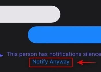 What happens when you click notify anyway?