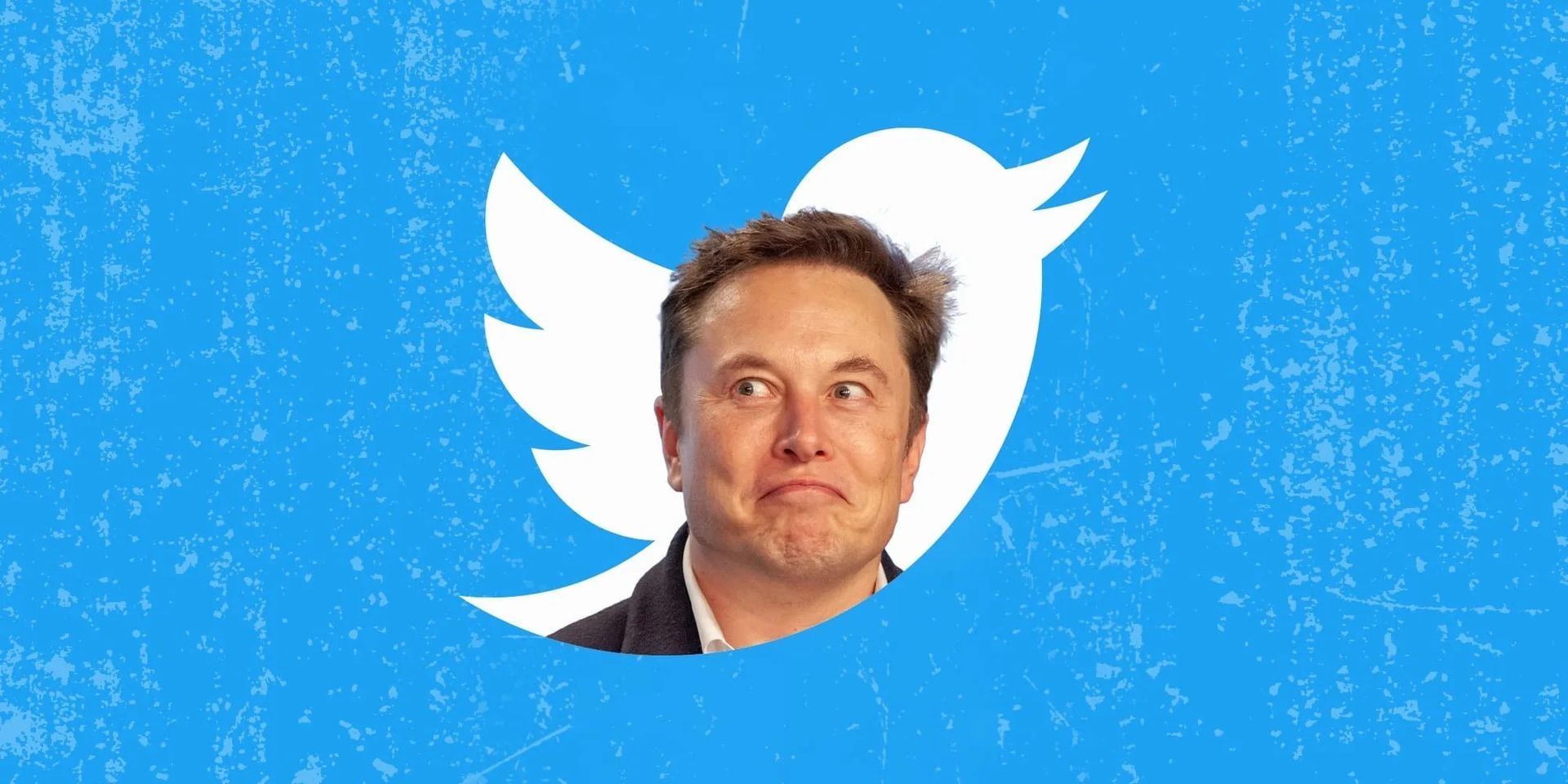 Elon Musk might step down as Twitter CEO: FLOKI surges after the hint
