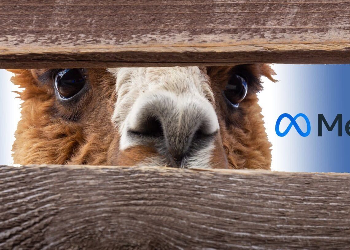 Meta Llama