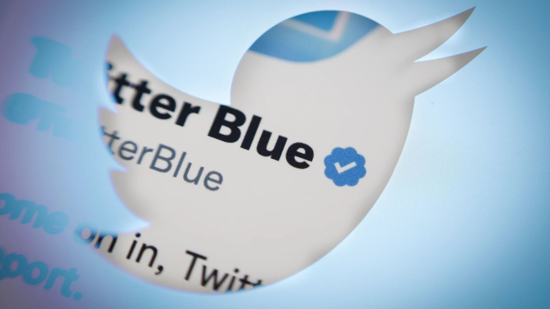 Twitter Blue vs Meta Verified