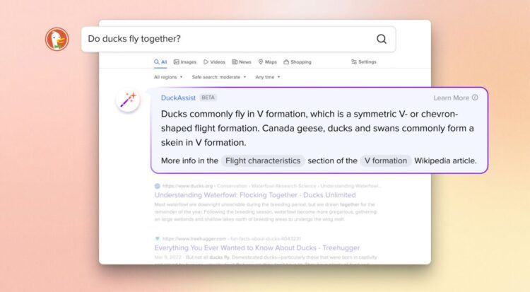 DuckDuckGo AI: DuckAssist can explain how ducks fly together, but...