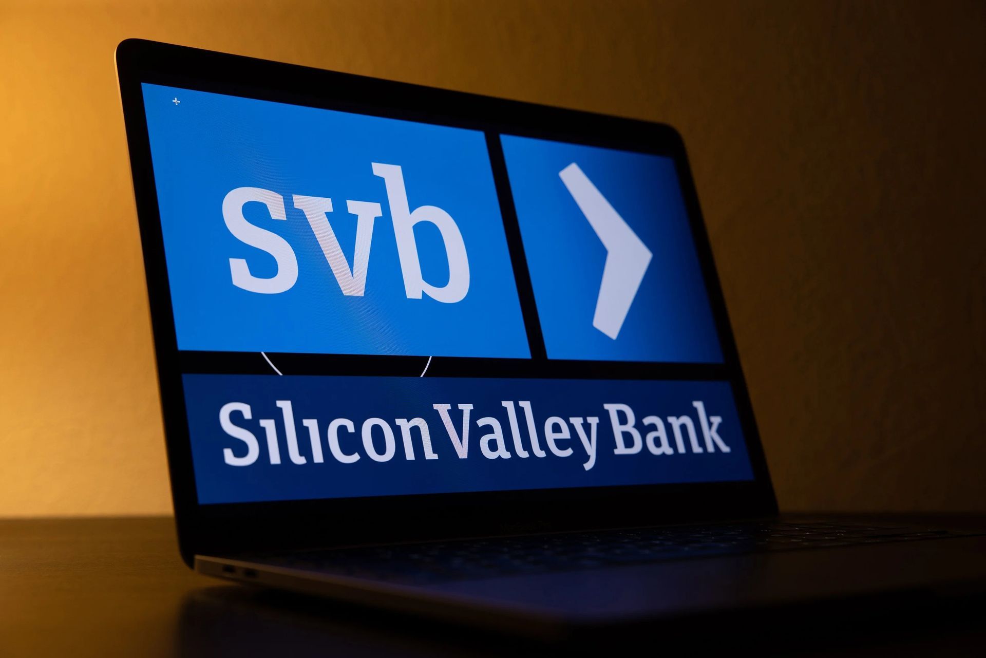 Exploring the SVB collapse: Behind the scenes