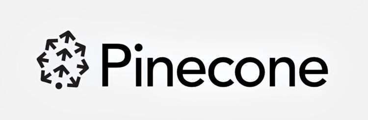 How to get Pinecone API explained