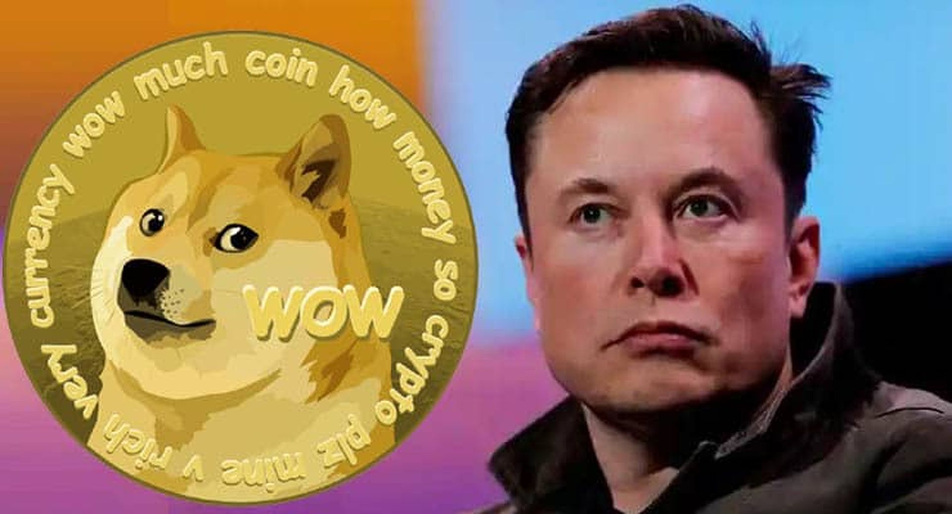 Explication du logo Dogecoin sur Twitter : Pourquoi Elon Musk l’a-t-il changé ?