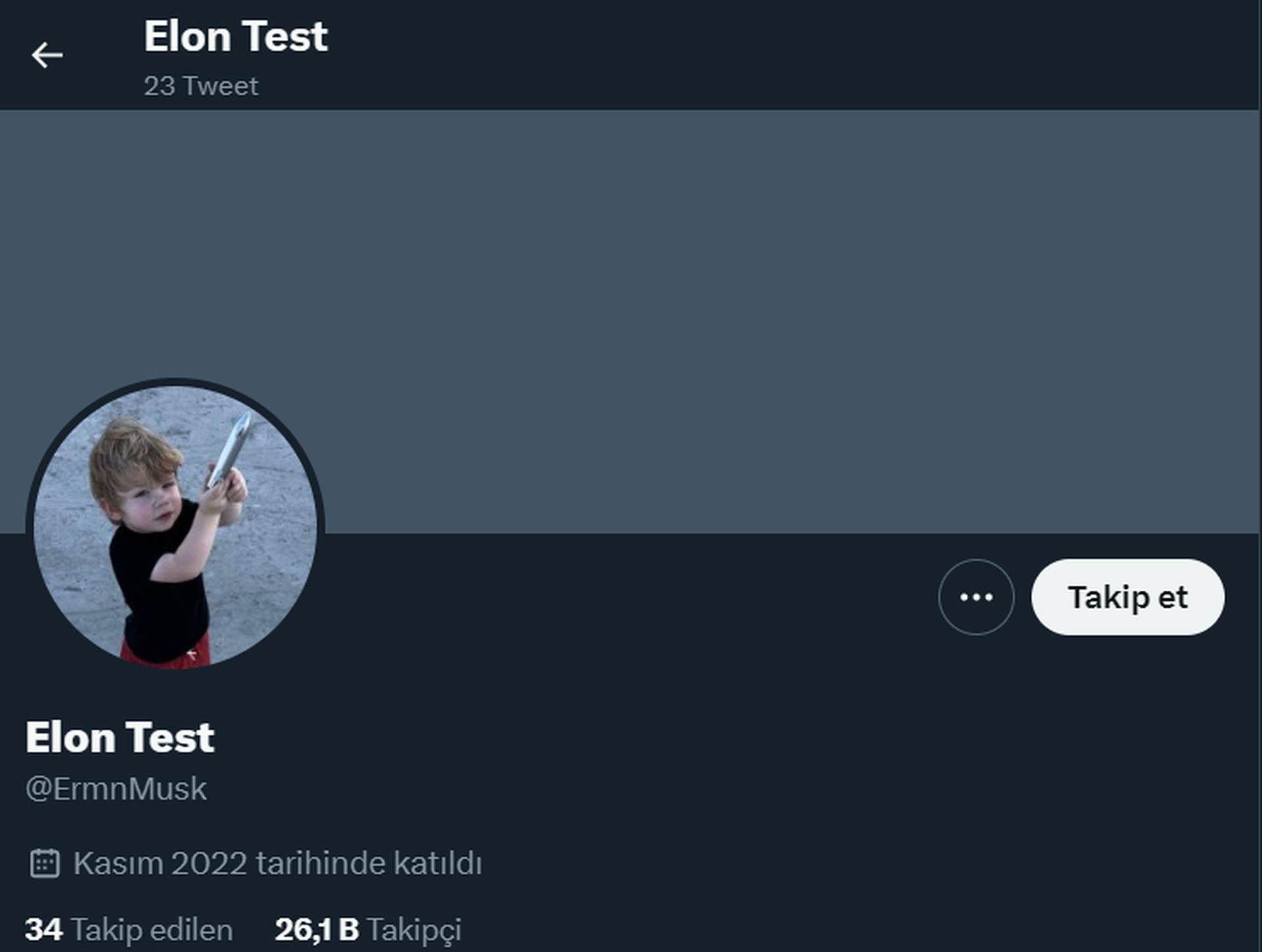 elon musk's alt account 