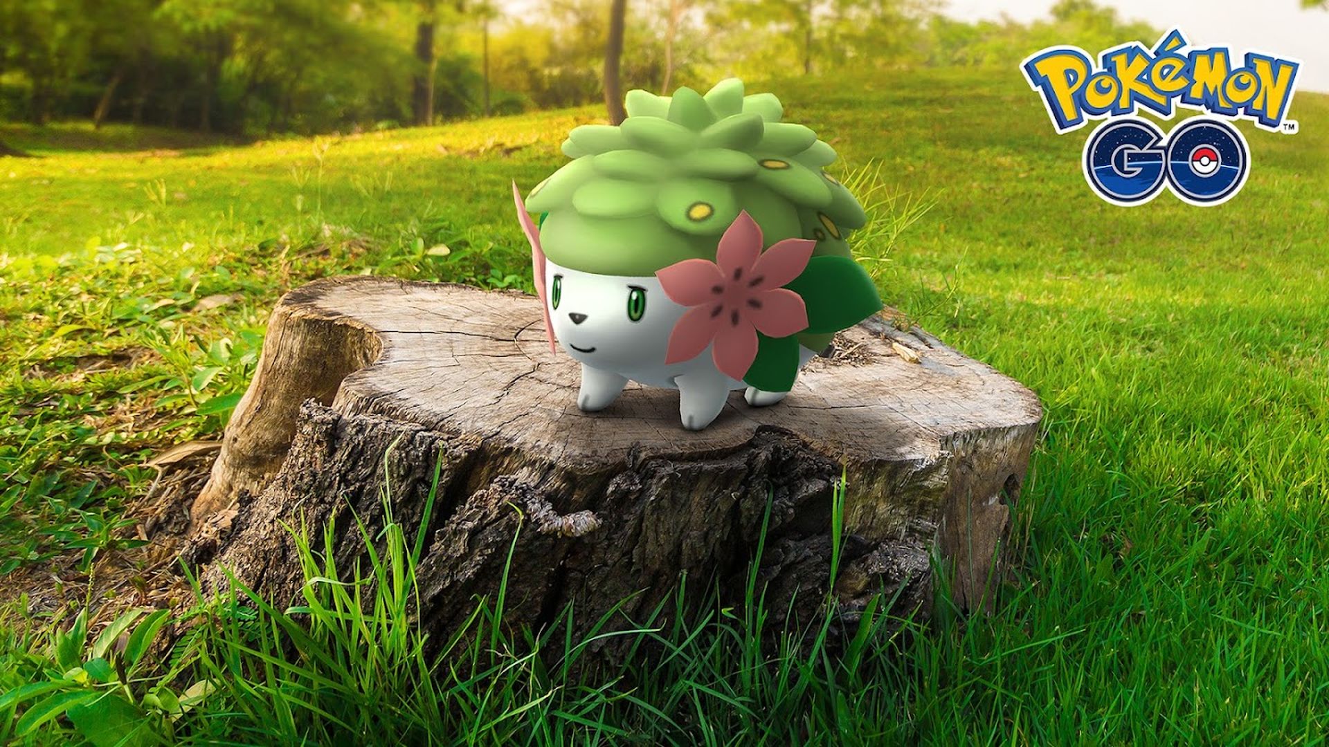 pokemon go shaymin 