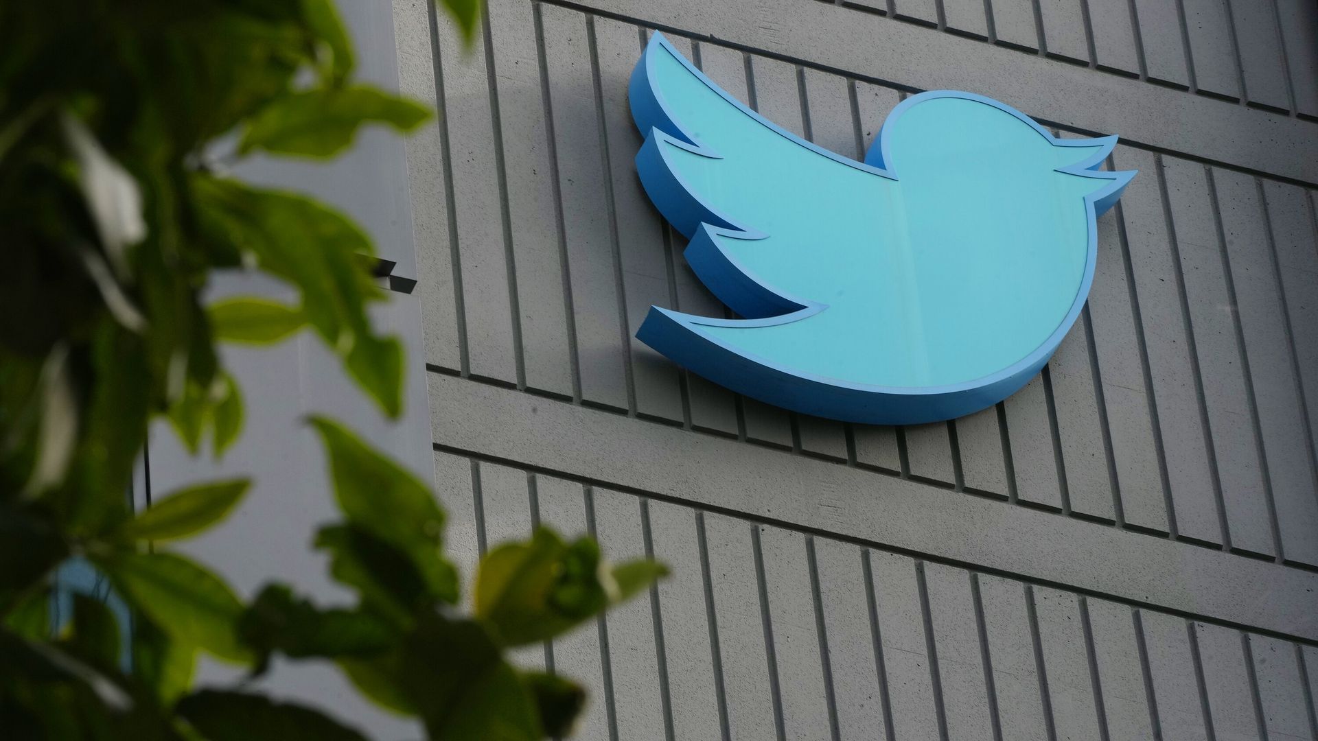Twitter 2.0: X Corp takes the wheel in platform's next chapter