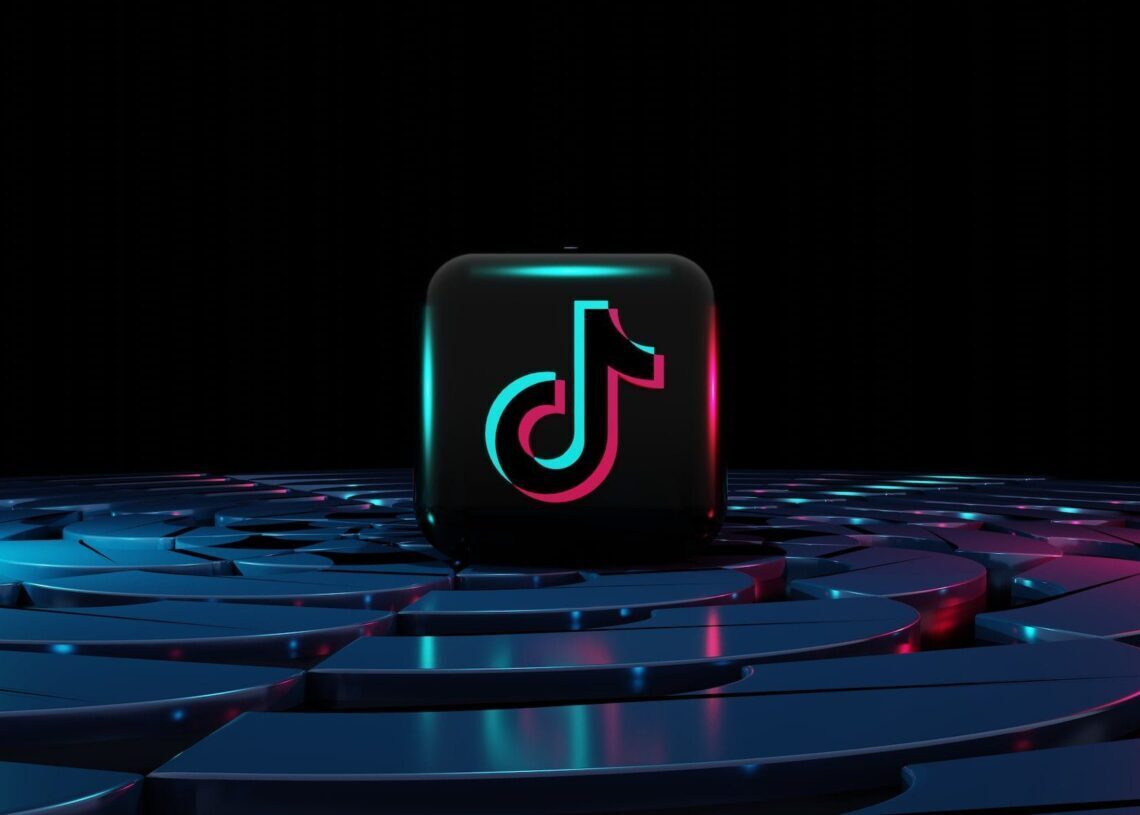 Tiktok Tako chatbot