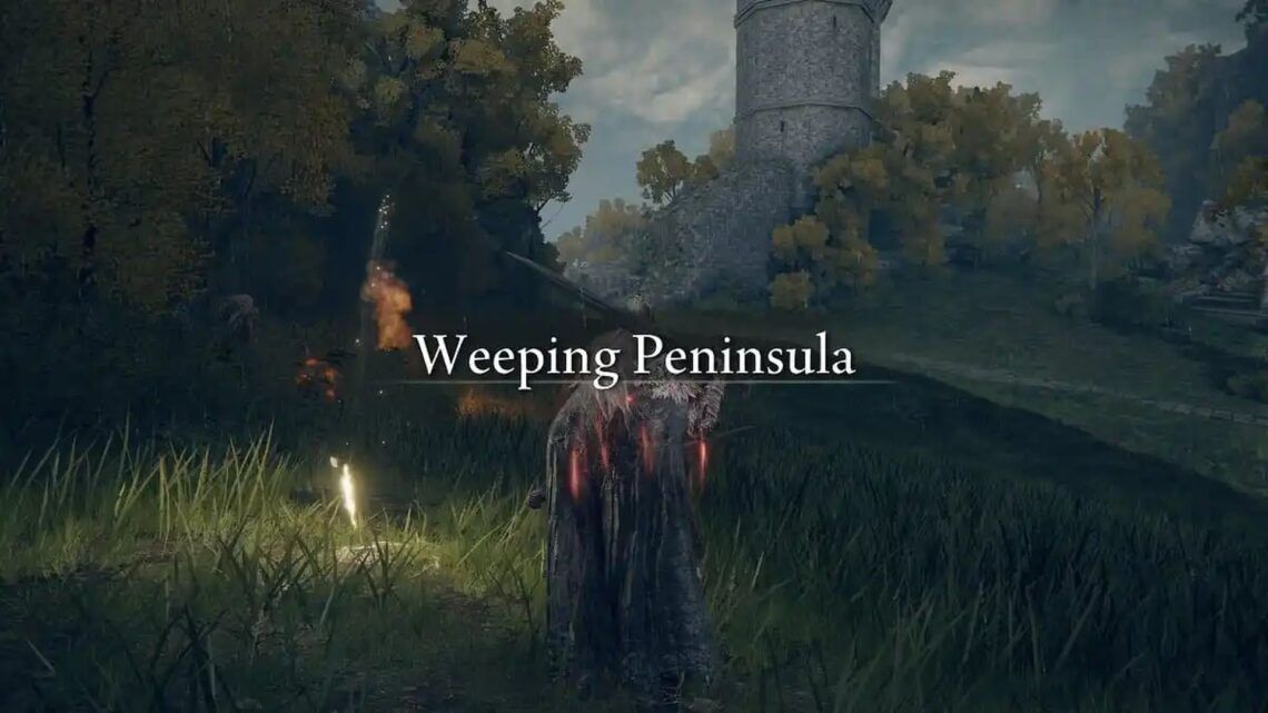 Elden Ring story progression route and all endings Complete guide