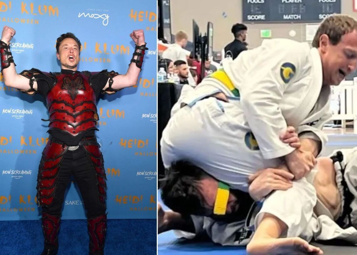 Mark Zuckerberg vs Elon Musk cage fight