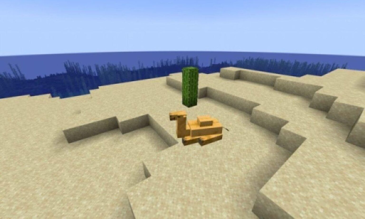 What do camels eat in Minecraft: Explained • TechBriefly