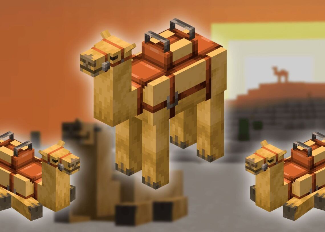 What do camels eat in Minecraft