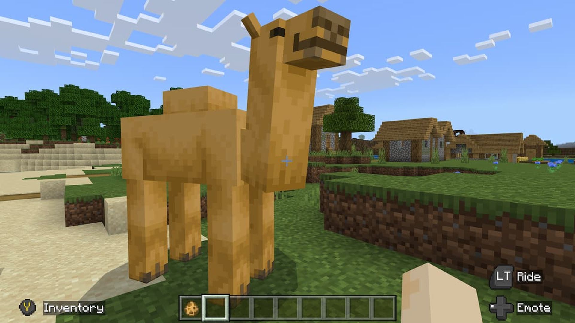 What do camels eat in Minecraft