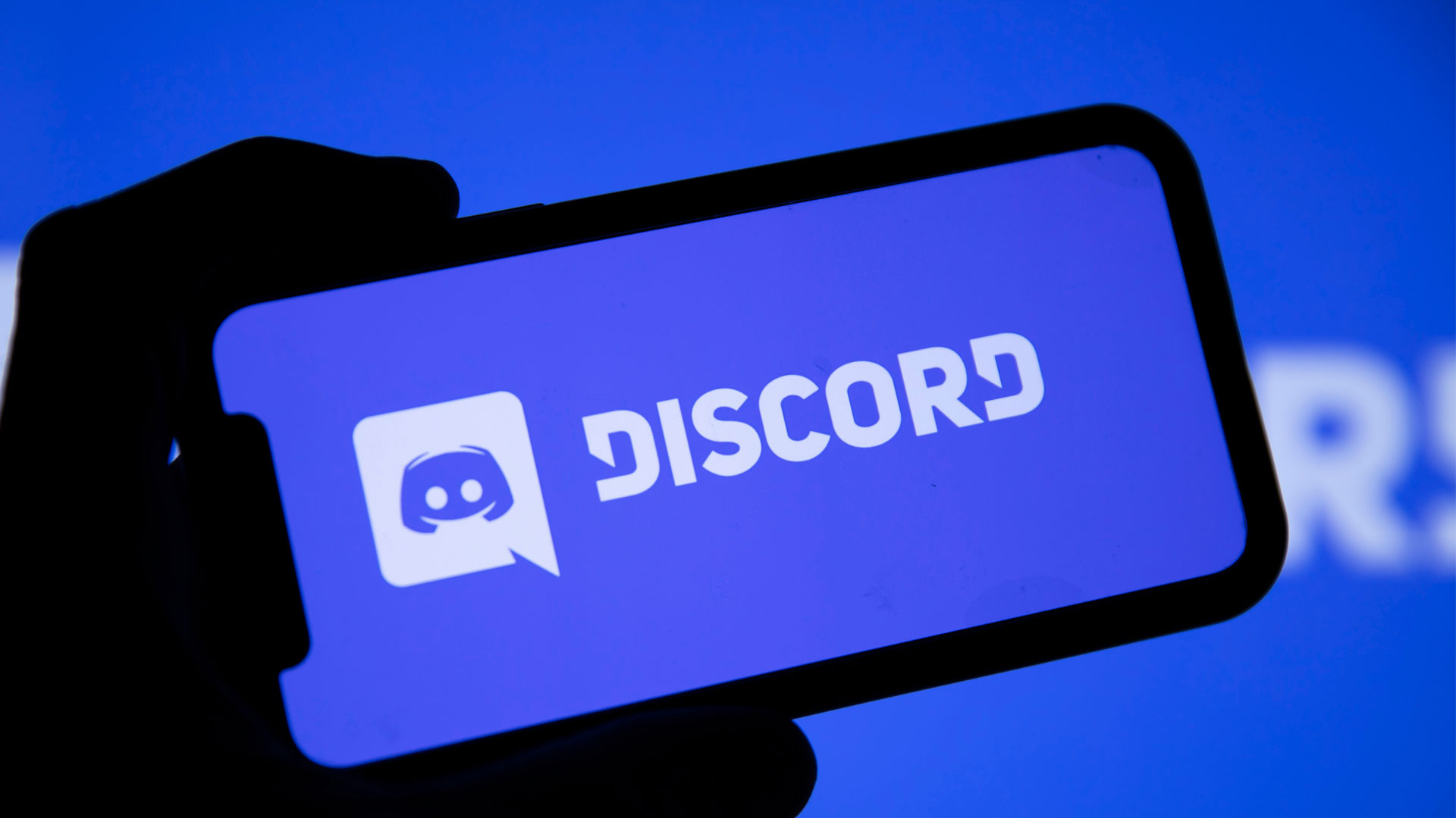 discord search not working