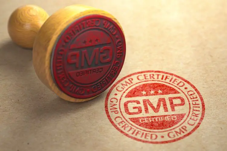 A business’s introduction to good Manufacturing Practice (GMP)