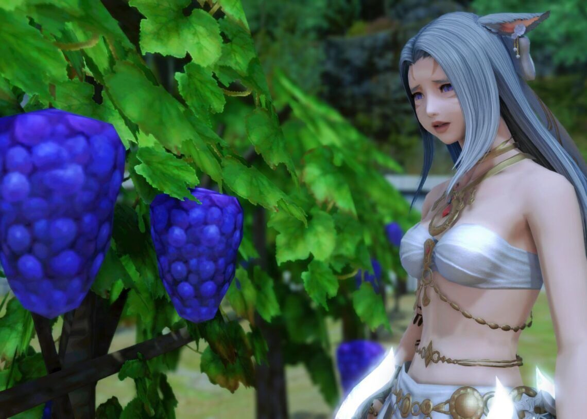 Final Fantasy 14 Fan Festival will unite fans with the famous grapes