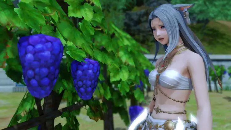 Final Fantasy 14 Fan Festival will unite fans with the famous grapes