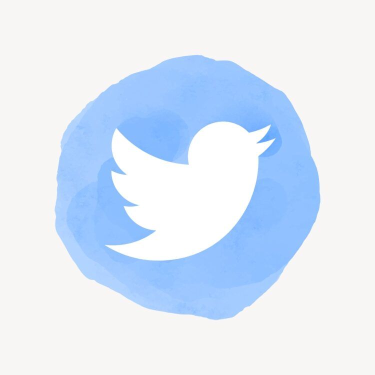 The old Twitter logo extension_02