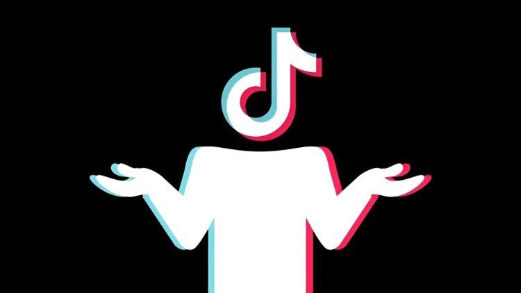 What is the passenger princess meaning on TikTok?