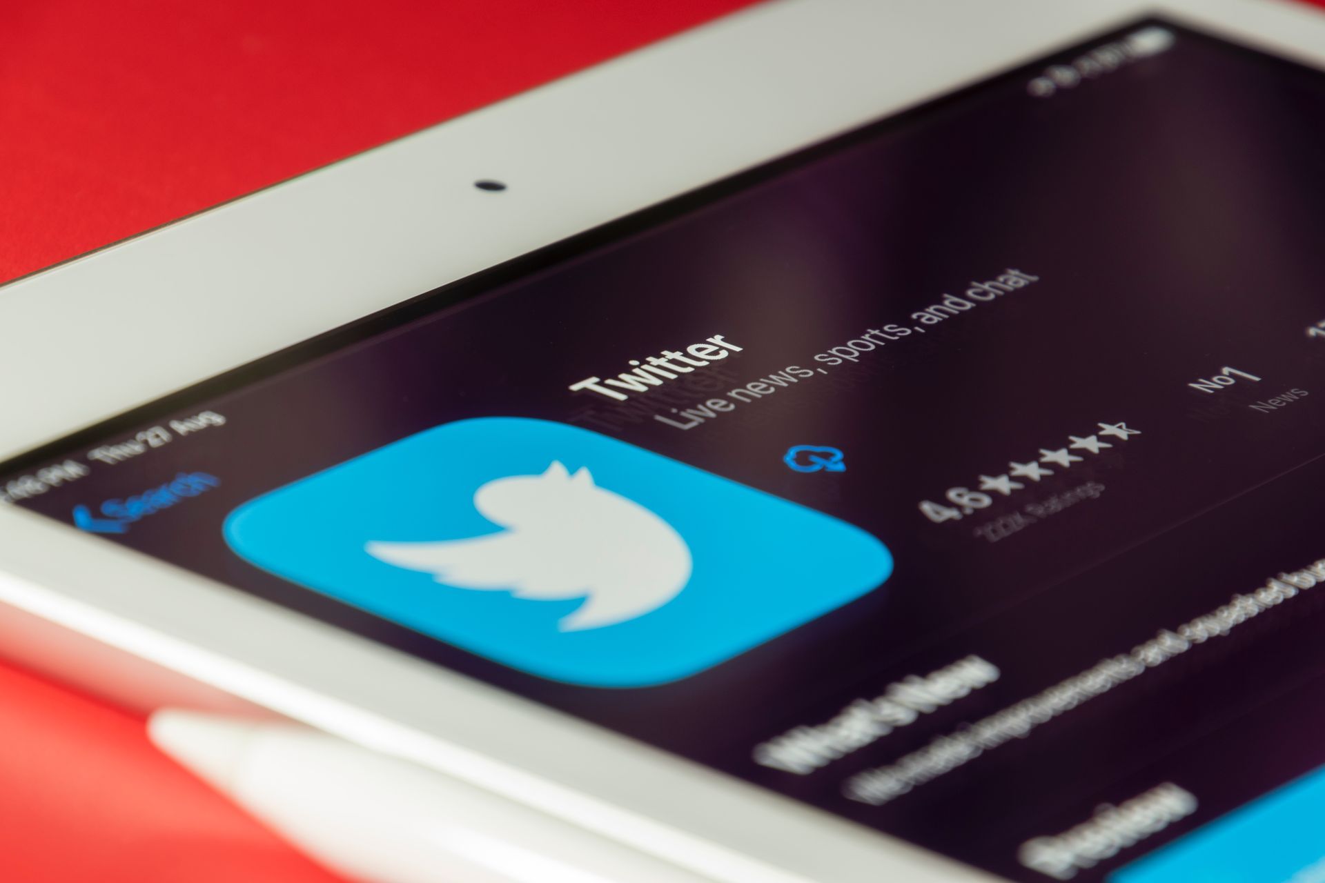 Twitter X logo takes center stage as X app redefines social media landscape (Image credit)
