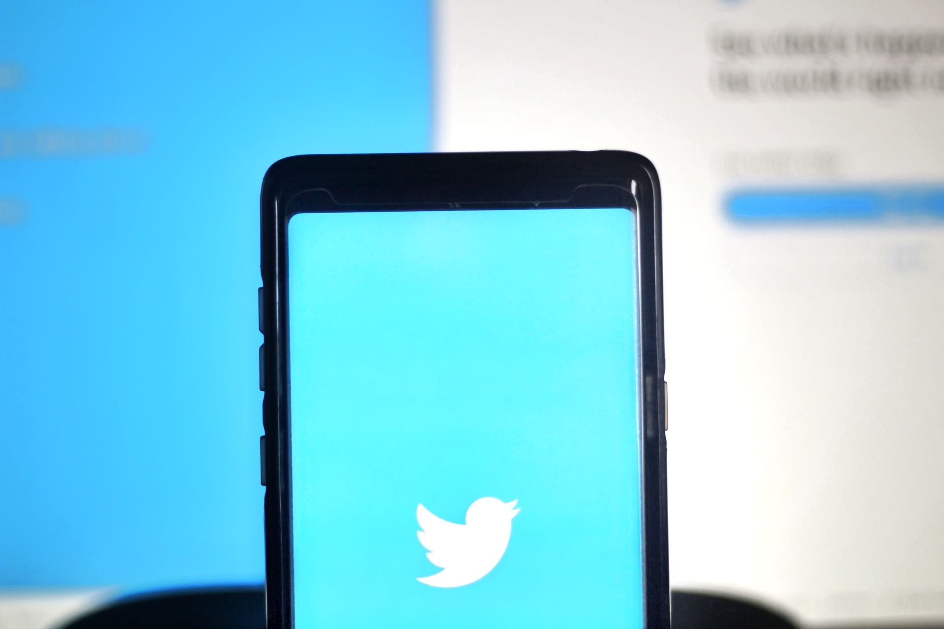 Twitter X logo takes center stage as X app redefines social media landscape (Image credit)