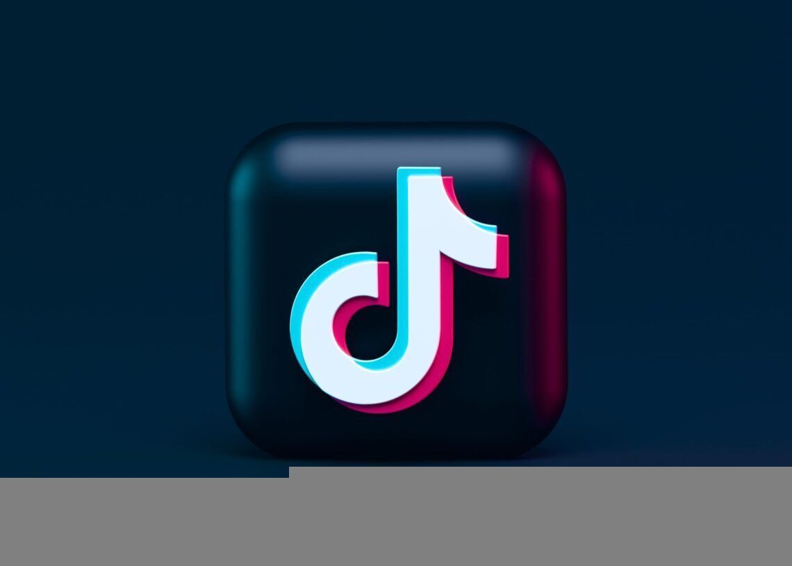 Discover the heartwarming Your My Bird TikTok trend sweeping the platform (Image credit)