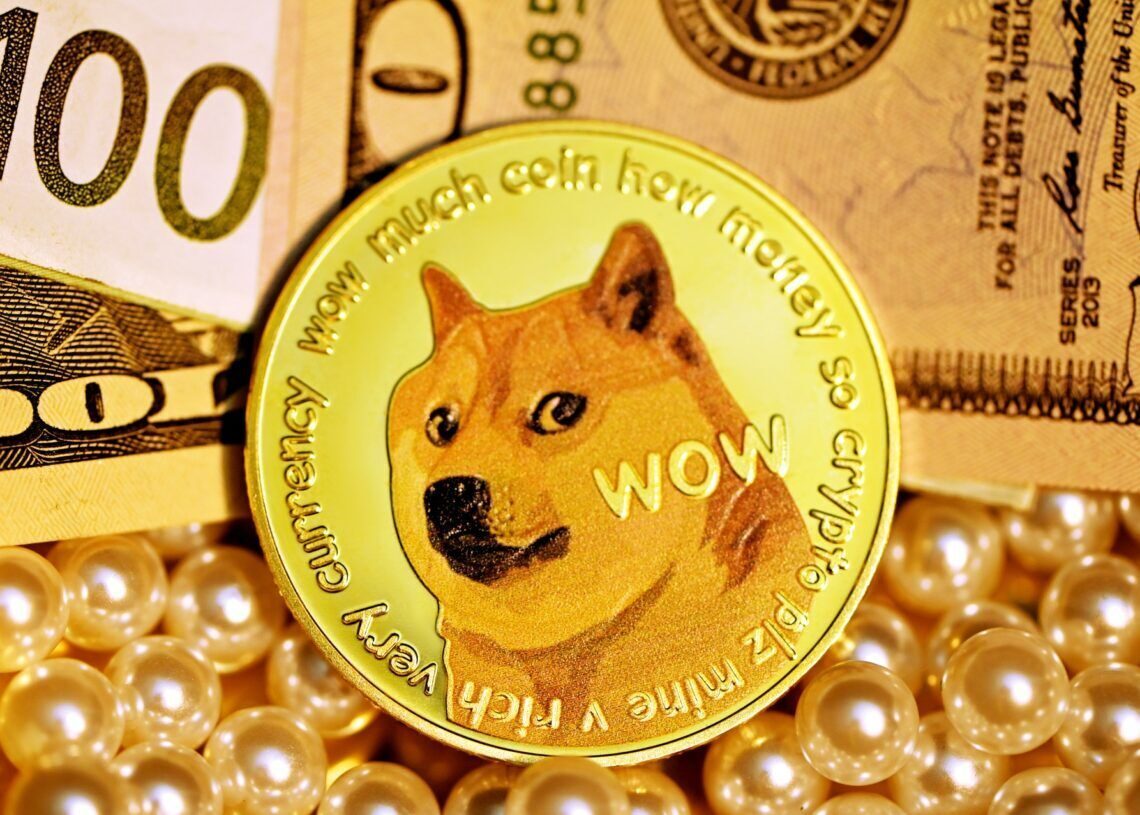 Elon Musk DOGE coin