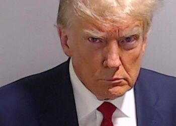 Trump mugshot memes