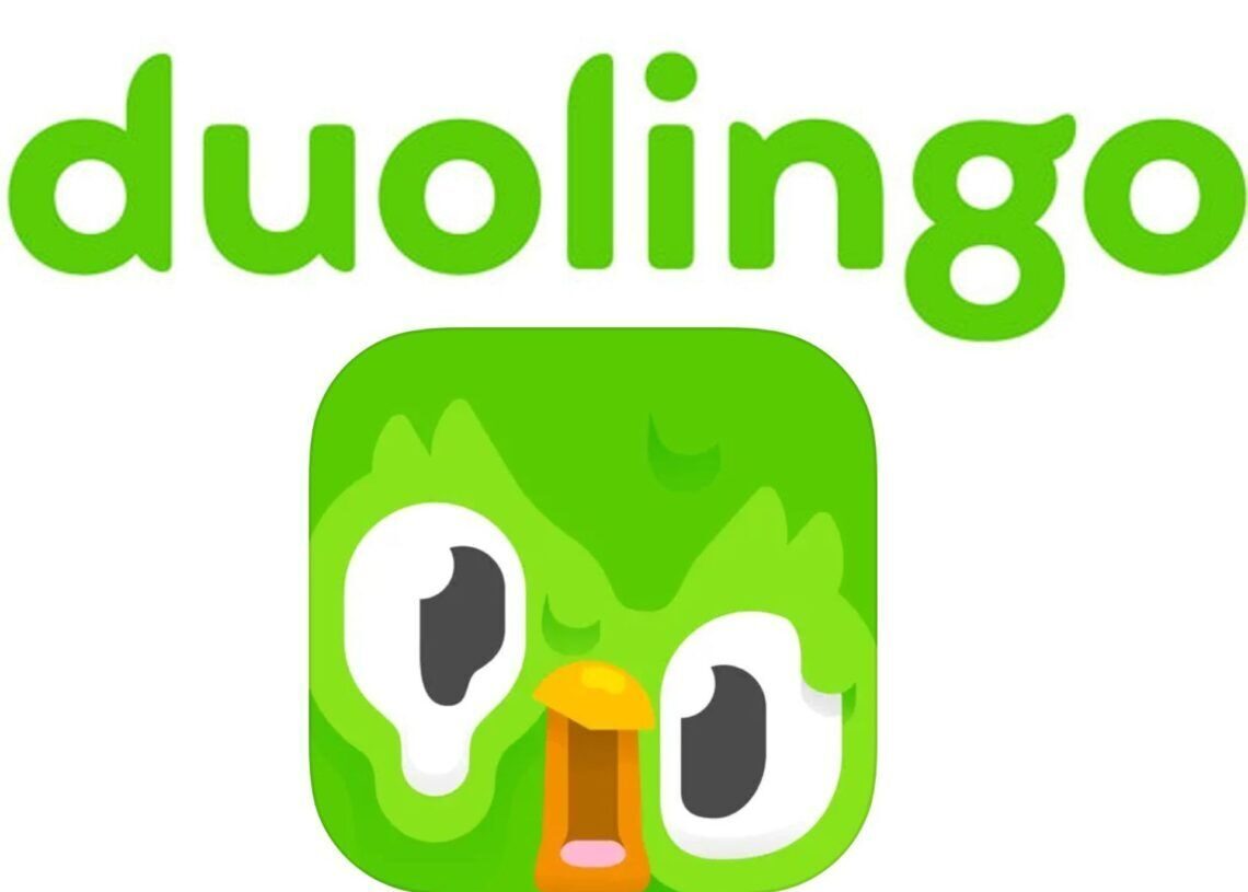 Melting Duolingo app icon