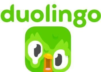 Melting Duolingo app icon