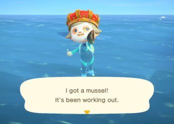 How to get a Mussel in Animal Crossing?