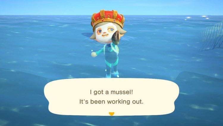 How to get a Mussel in Animal Crossing