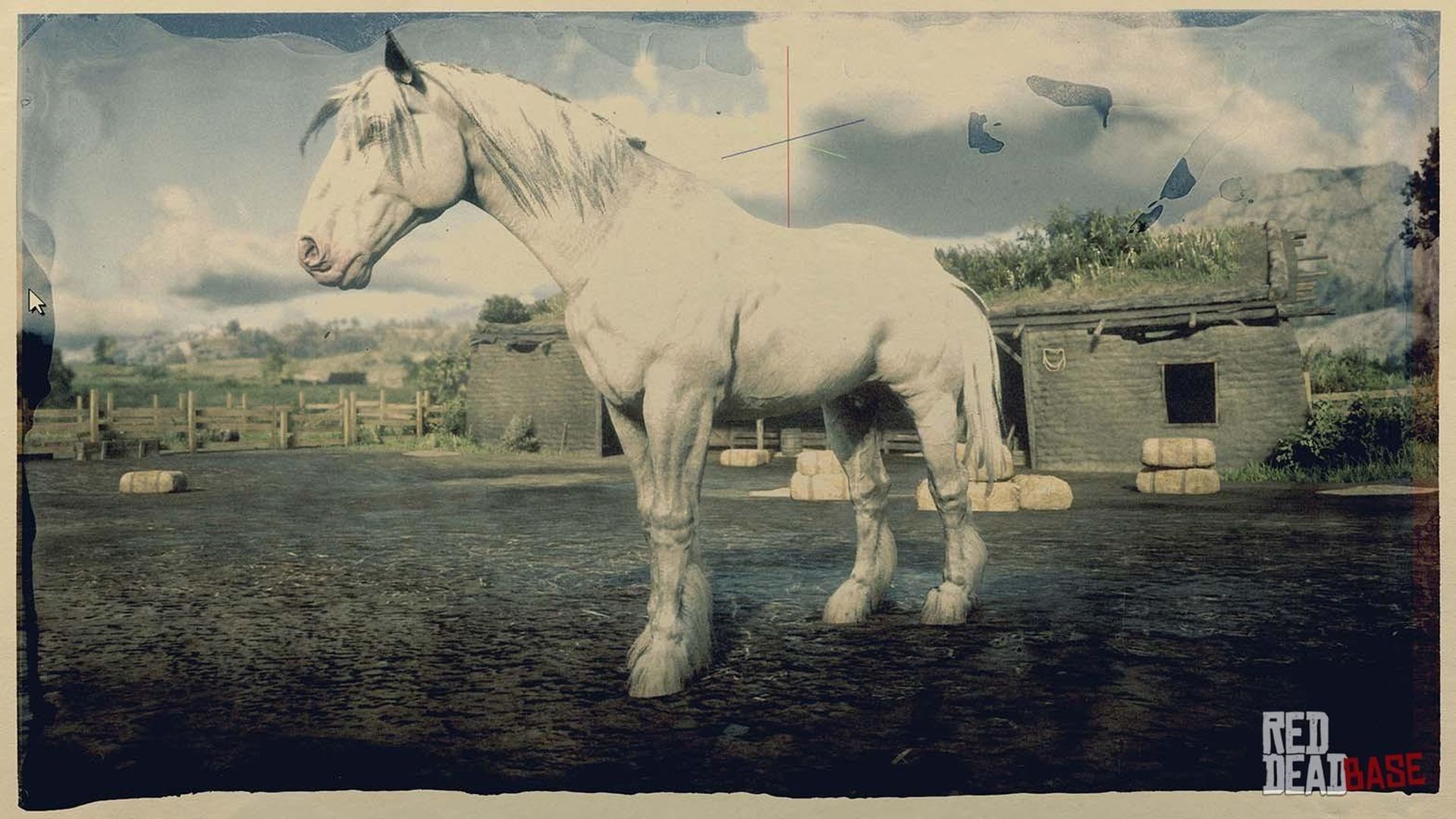 The biggest horse in RDR2
