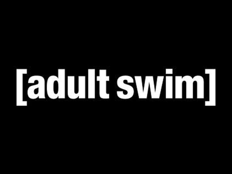 With this article, you can learn how to fix Adult Swim app not working issues easily.