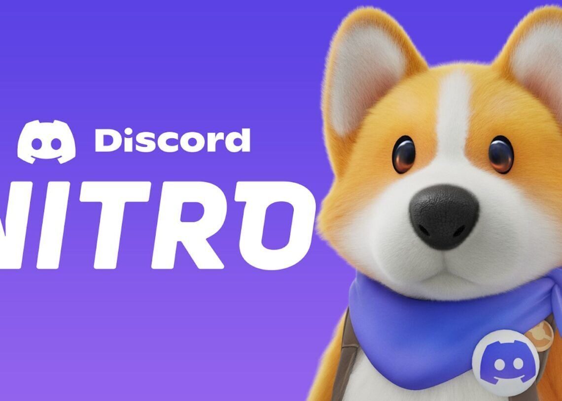 Discord Nitro Party Animals