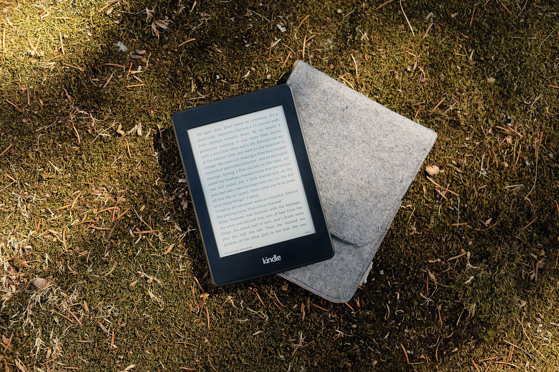 Amazon Stuff Your Kindle Day: как получить от этого максимум удовольствия