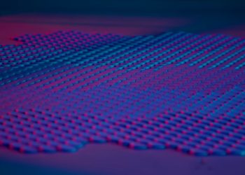 Disney Holotile floor looks “jaw-dropping”