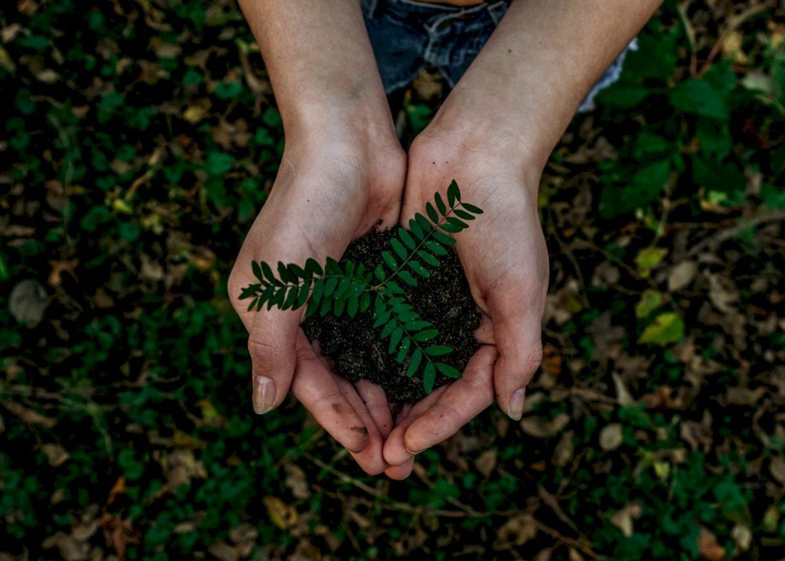 What is Climate tech