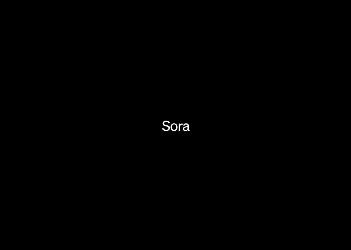 When will Sora be available to the public?